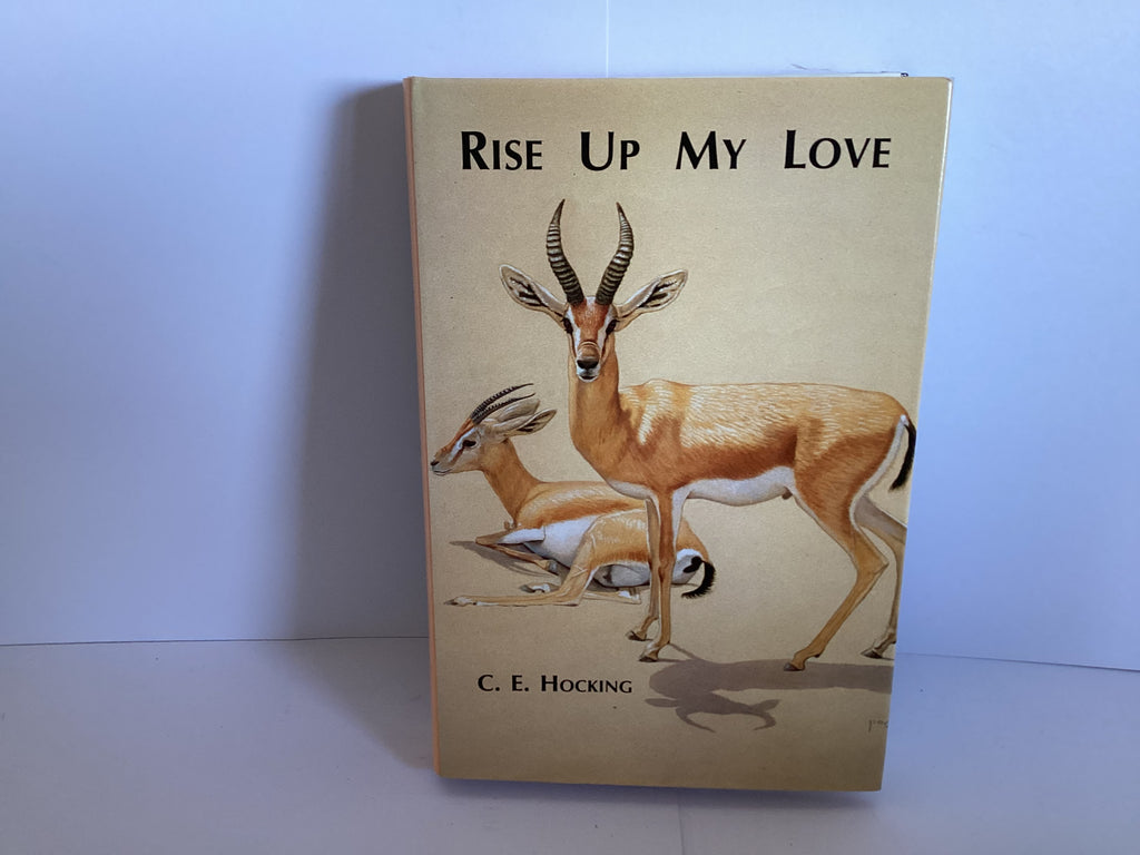 Rise Up My Love Salvation History and the Song of Songs (John Gowan Collection)