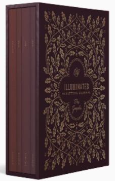 ESV Illuminated Scripture Journal®: Gospels Set Paperback