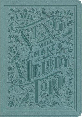 ESV Single Column Journaling Bible (Large Print)