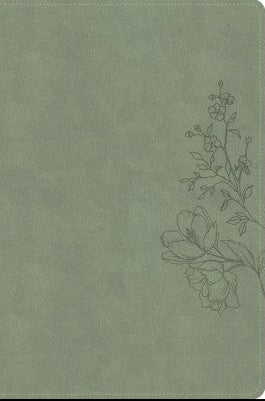 CSB Large Print Thinline Bible, Digital Study Edition, Sage