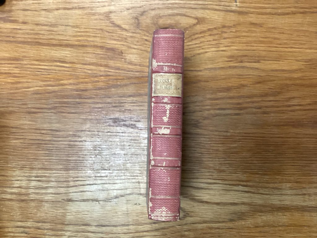 The Sacred History of the World as displayed in The Creation and subsequent events to the Deluge (The John Gowan Collection)