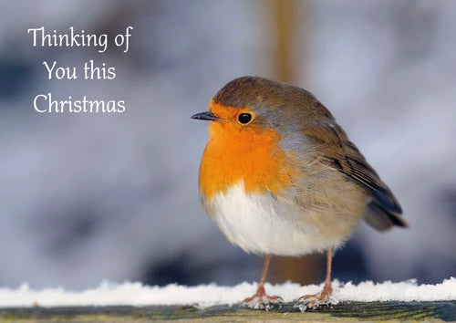 Christmas Single Robin with words