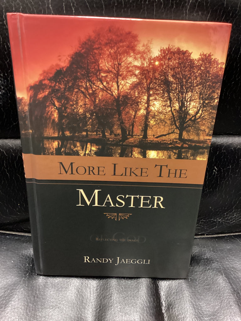 More Like the Master: Reflecting the Image of God (Used Copy)