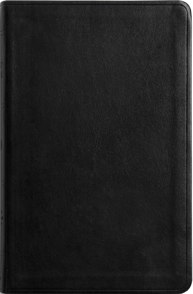 ESV Large Print Value Thinline Bible - TruTone, Black
