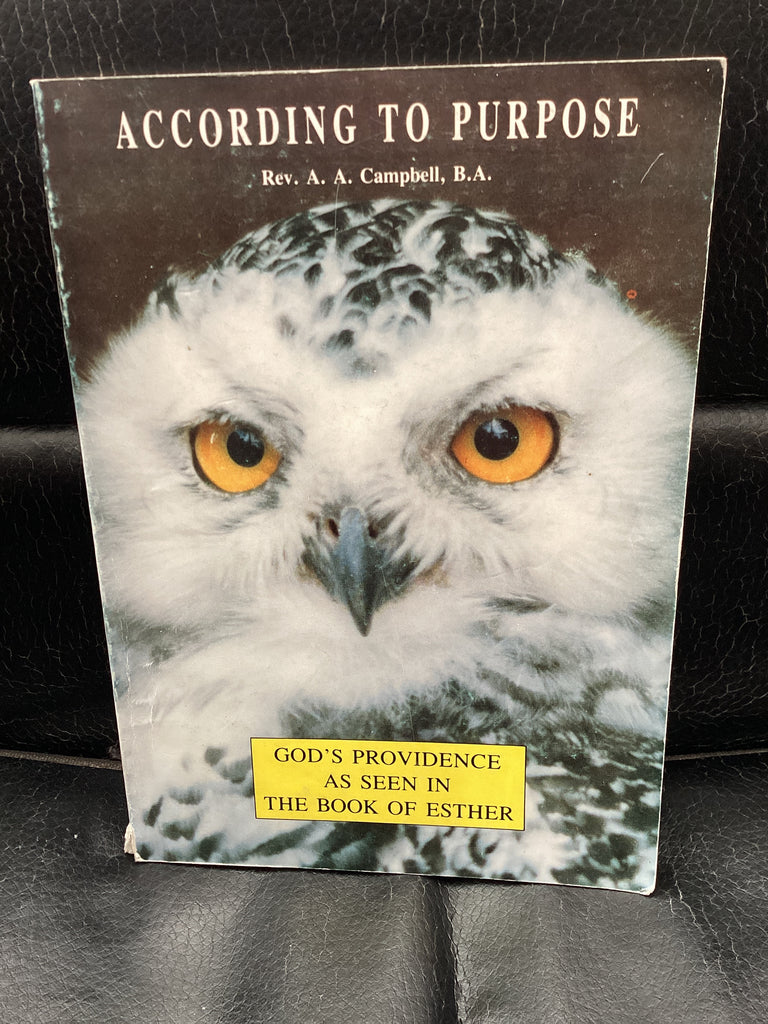 According to Purpose (Used Copy)