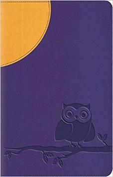 ESV Large Print Compact Bible