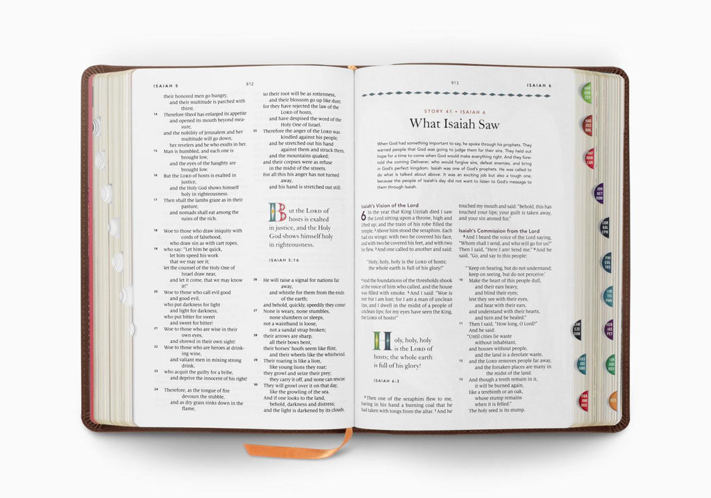 The Biggest Story Holy Bible For Kids (TruTone, Brown, Living Hope Design, Indexed)