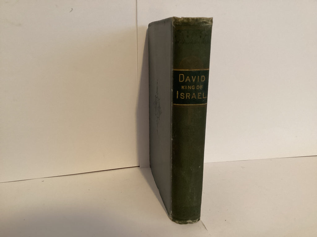 David: King of Israel (John Gowan Collection)