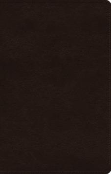 ESV Women's Study Bible : True Tone Deep Brown