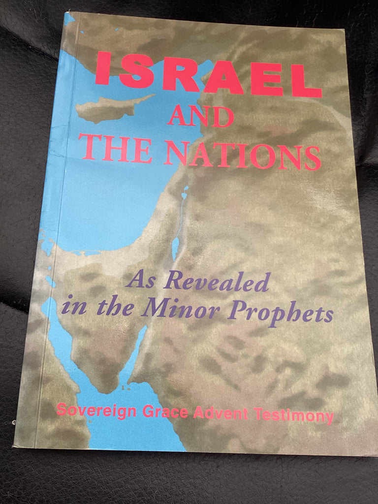 Israel and the Nations - As Revealed in the Minor Prophets (Used Copy)