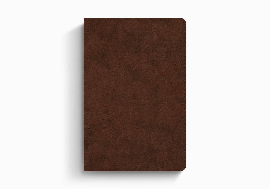 ESV Holy Bible: Dyslexia-Friendly Edition TruTone, Brown