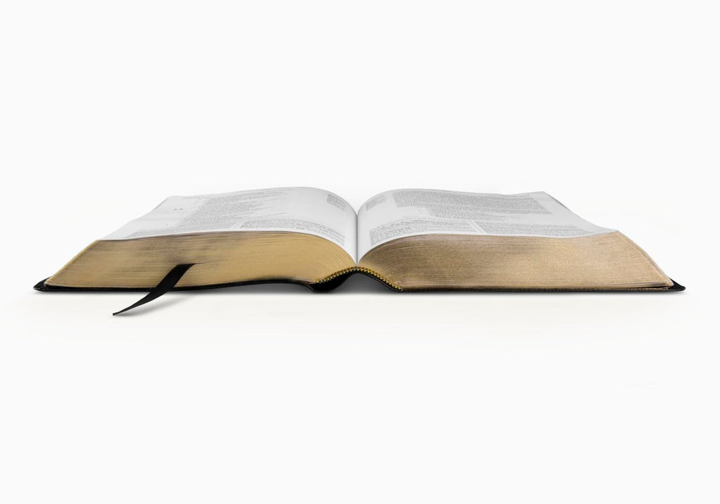 ESV Study Bible (Bonded Leather, Black)