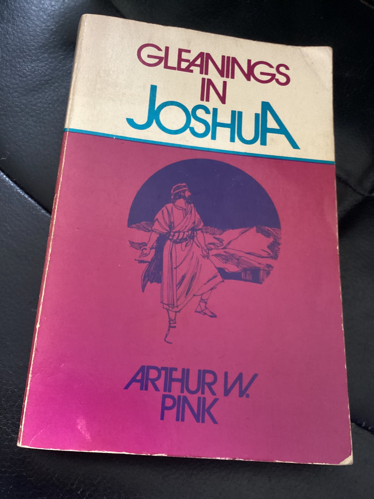 Gleanings in Joshua (Used Copy)