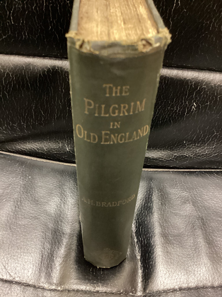The Pilgrim in Old England (Used Copy)