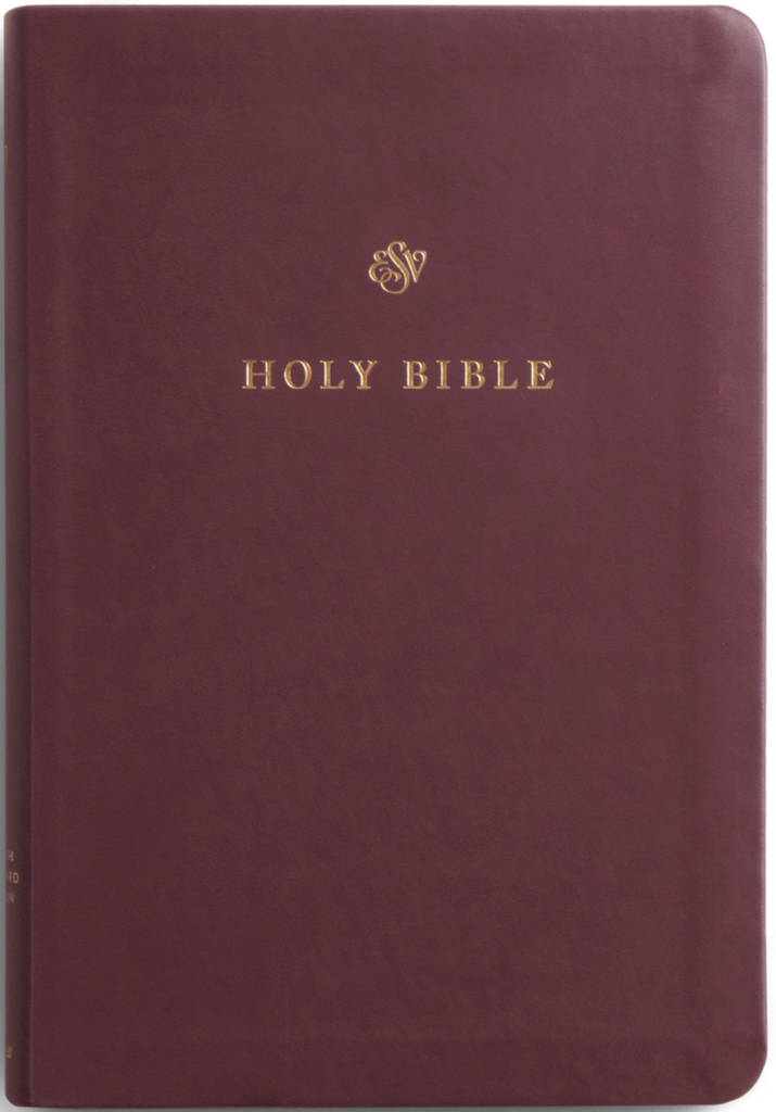 ESV Gift and Award Bible - Trutone, Burgundy