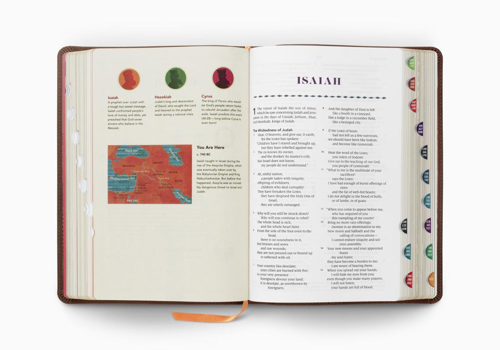 The Biggest Story Holy Bible For Kids (TruTone, Brown, Living Hope Design, Indexed)