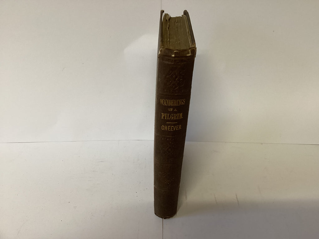 Wanderings of a Pilgrim (John Gowan Collection)