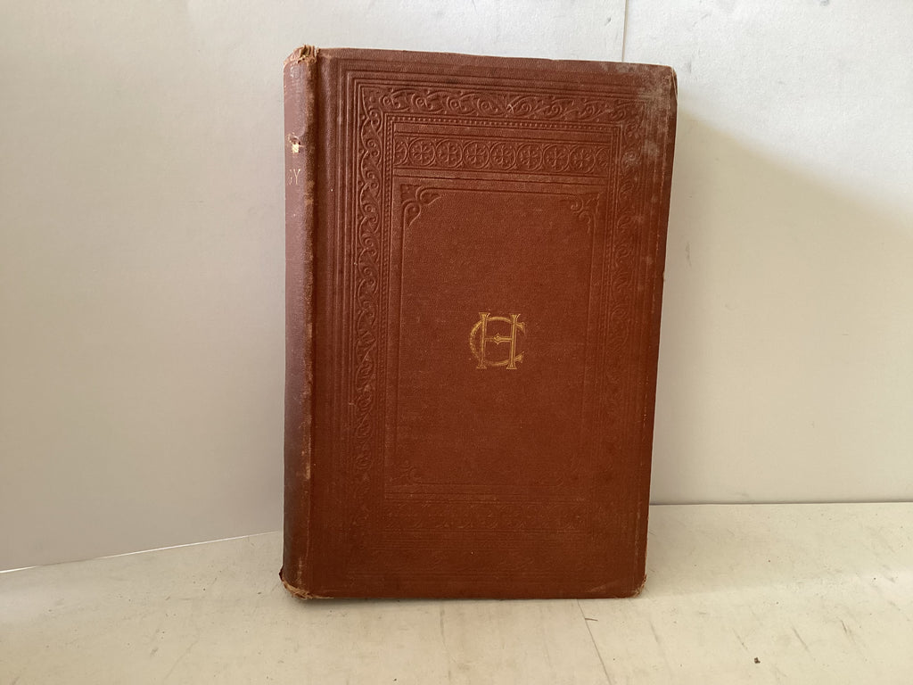 Systematic Theology Vol 1 (The John Gowan Collection)