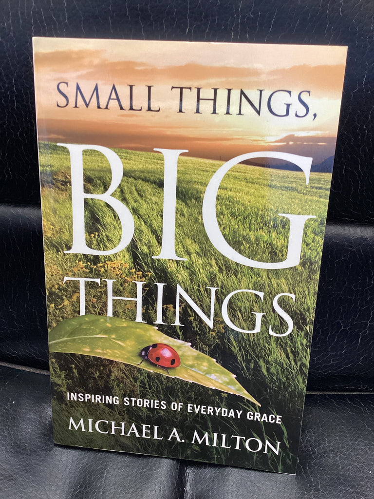 Small Things, Big Things - Inspiring Stories of Everyday Grace (Used Copy)