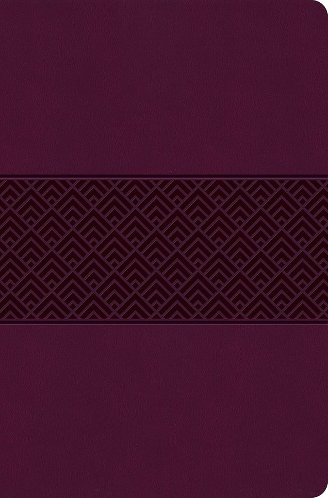 CSB: Everyday Study Bible - Wine, LeatherTouch