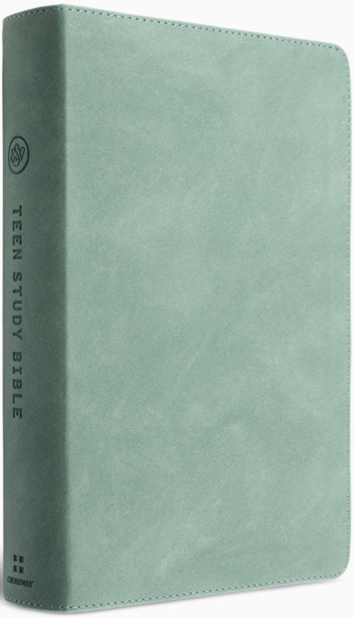 ESV Teen Study Bible - TruTone, Seaside Blue