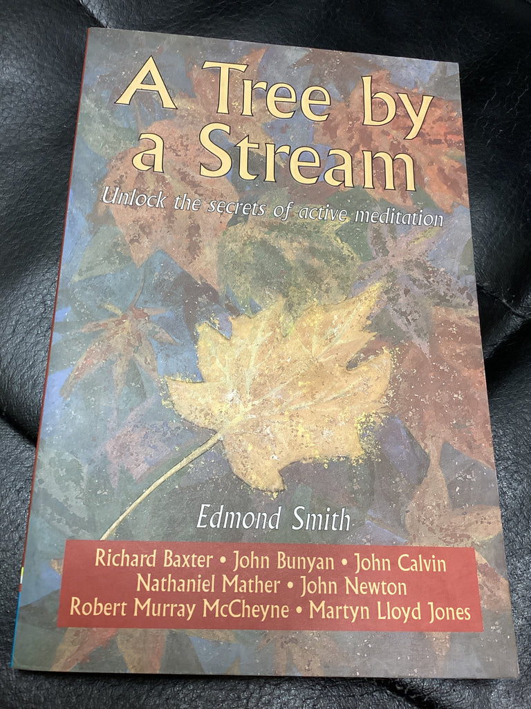 A Tree by a Stream - Unlock the Secrets of Active Meditation (Used Copy)