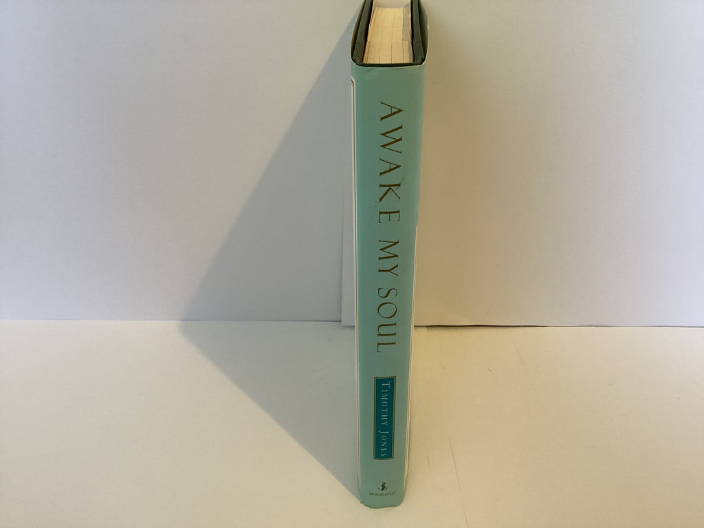 Awake My Soul: Practical Spirituality For Busy People (John Gowan Collection)