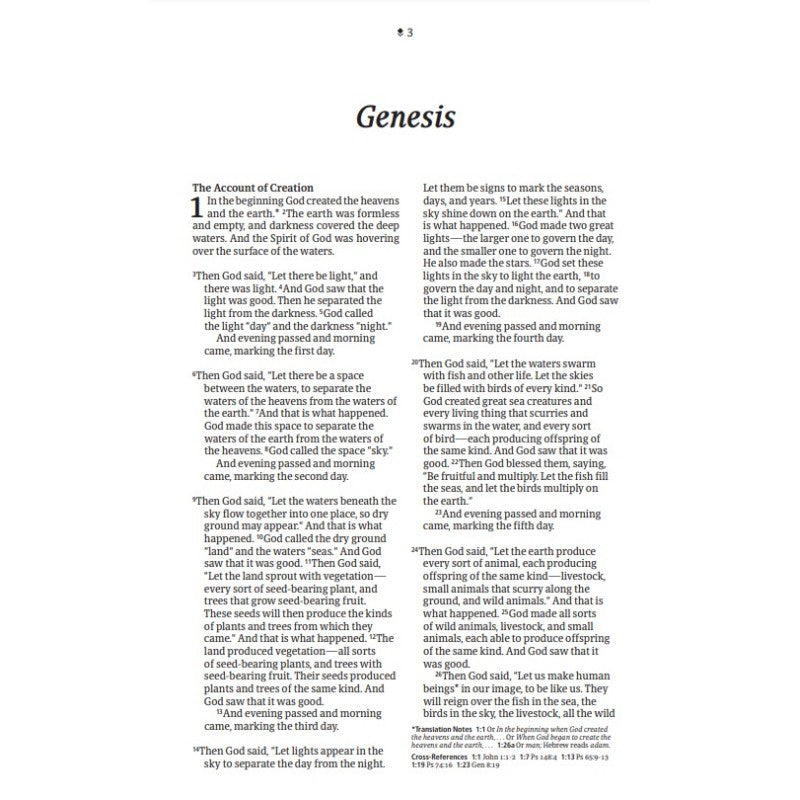 NLT Thinline Reference Bible, Filament Edition, Brushed Pink, Leatherlike