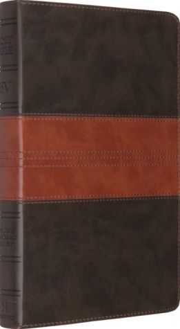 Thinline Bible-ESV-Trail Design