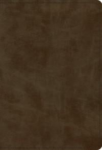 ESV Devotional Psalter
