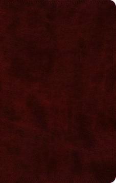 ESV Super Giant Print Bible - Trutone, Burgundy