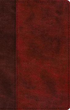 ESV Journaling New Testament Inductive Edition