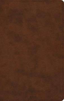 ESV Large Print Thinline Reference Bible, Trutone, Brown