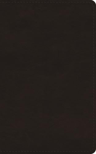 ESV New Christians Bible