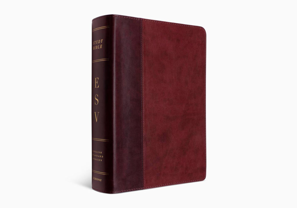 Study Bible-ESV