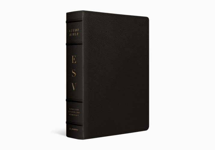ESV Study Bible, Large Print