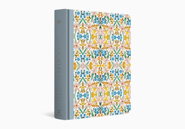 ESV Single Column Journaling Bible, Artist Series (Joshua Noom, the Lion and the Lamb)