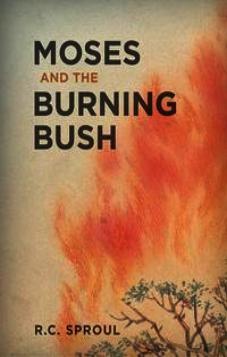 Moses and the Burning Bush (ePub eBook)