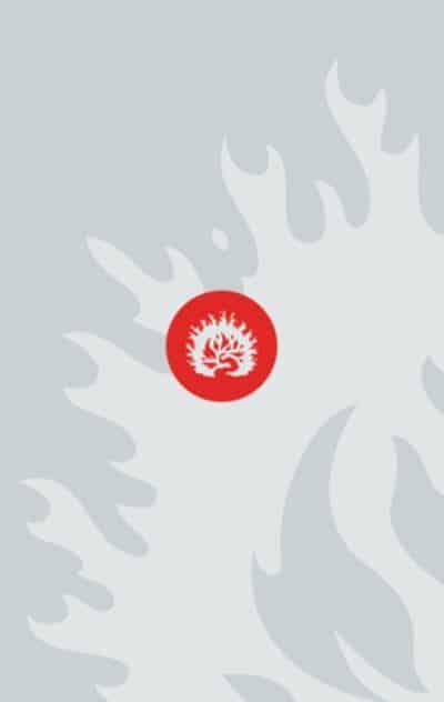 Reformation Study Bible-ESV Student Edition