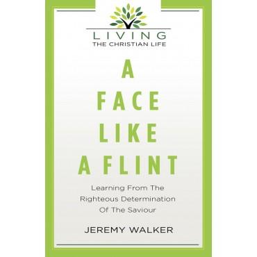 A Face Like Flint