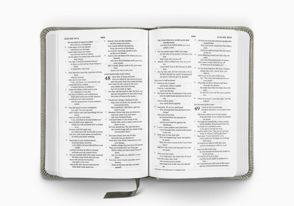 ESV Compact Bible (TruTone, Stone, Branch Design)