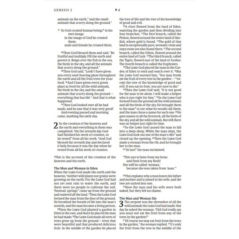 NLT Thinline Reference Bible, Filament Edition, Brushed Pink, Leatherlike