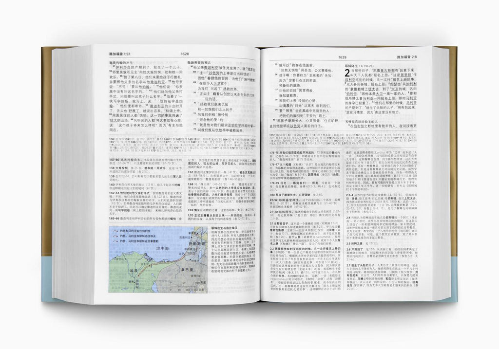 Chinese Study Bible