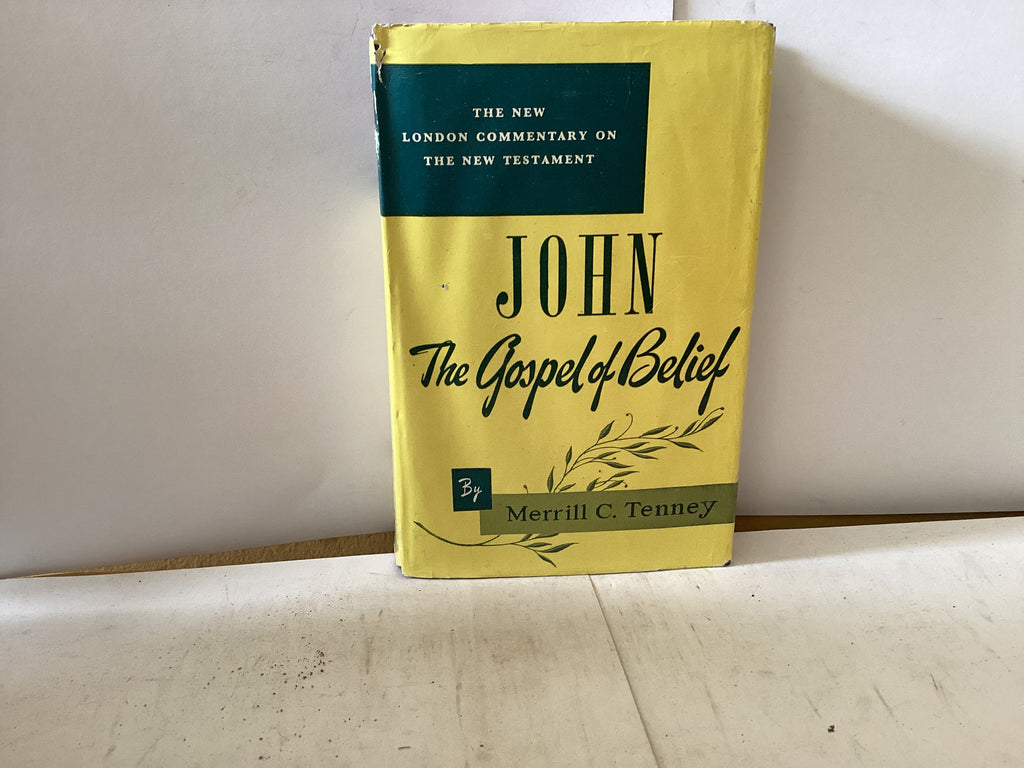 John - The Gospel of Belief (The John Gowan Collection)