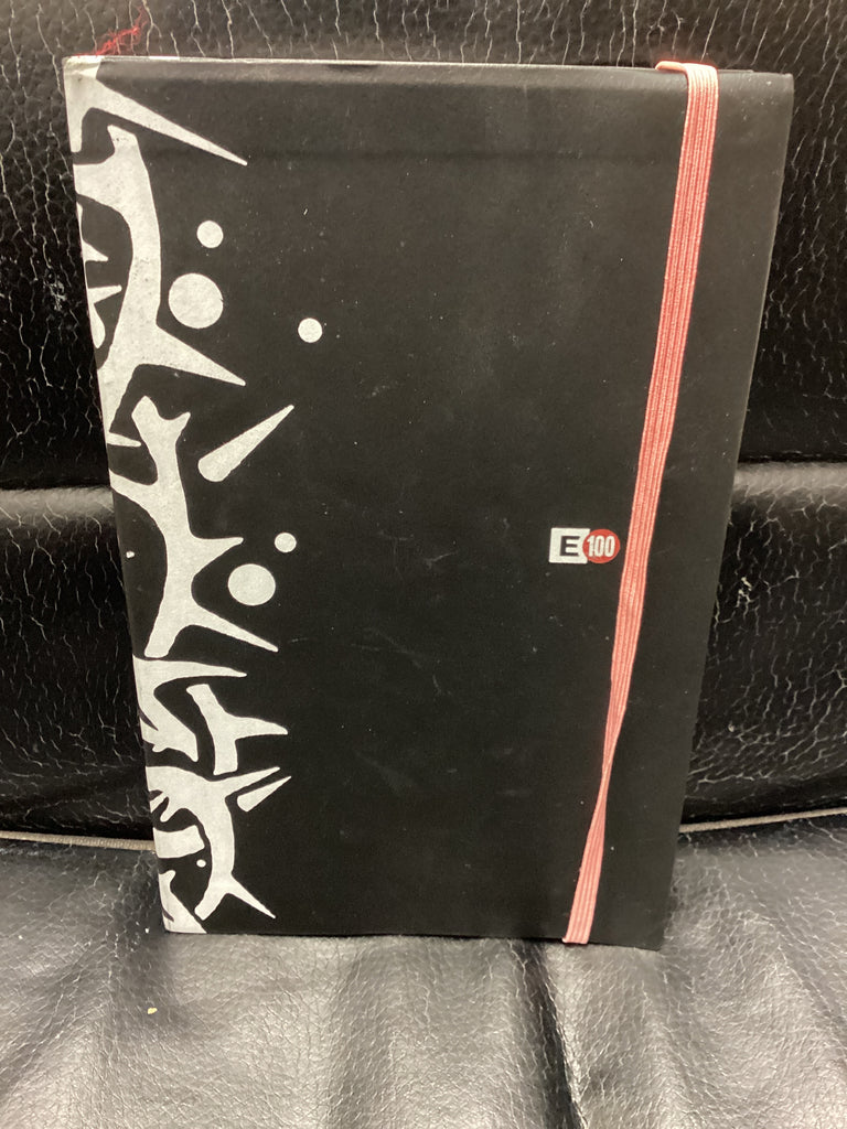 The E 100 Bible Reading Challenge (Used Copy)