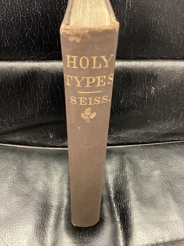 Holy Types: The Gospel in Leviticus (Used Copy)