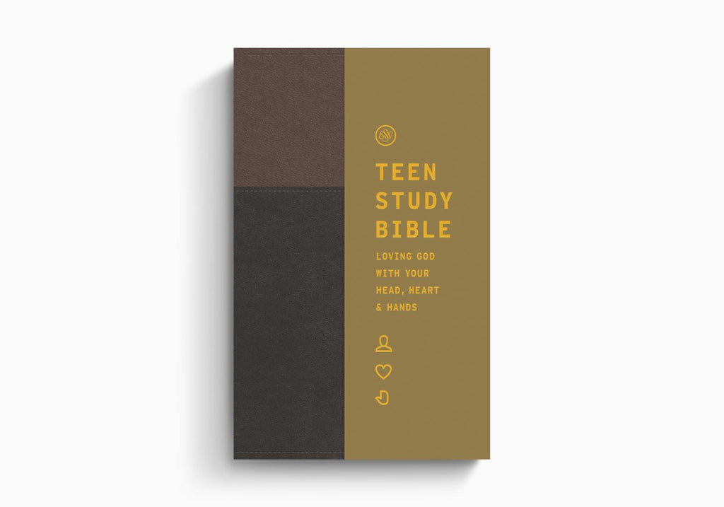 ESV Teen Study Bible - TruTone, Slate/Umber