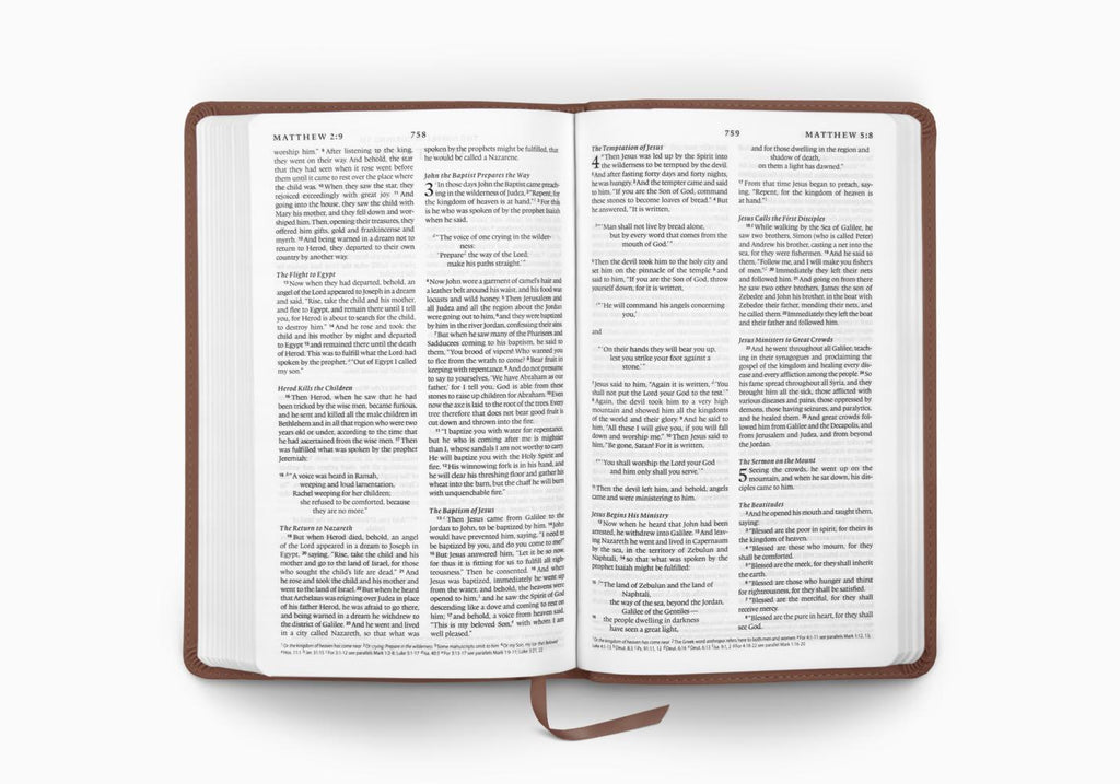 ESV Premium Church Bible (Brown)