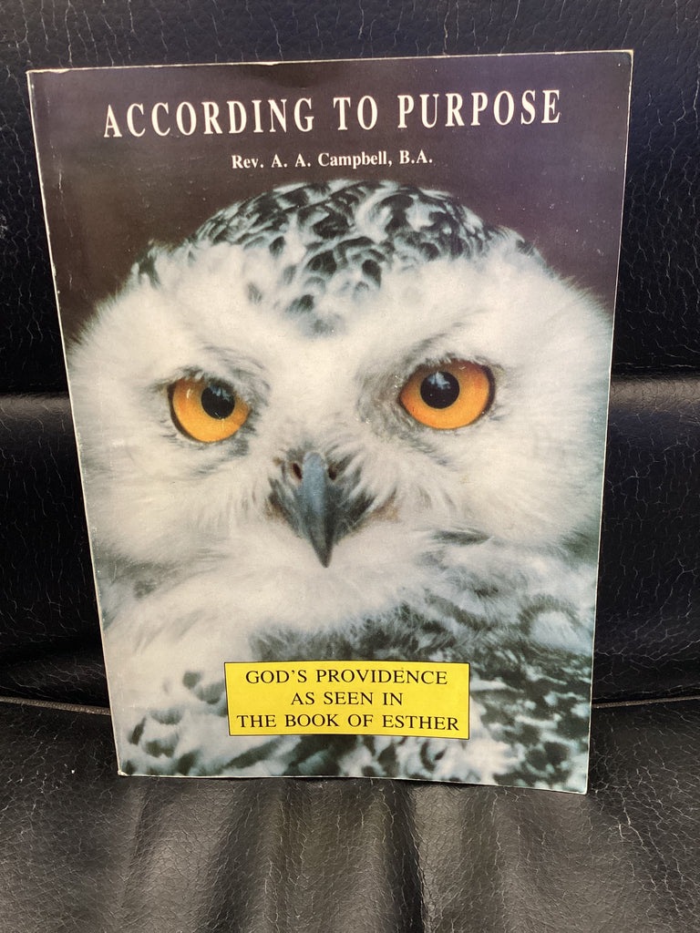 According to Purpose (Used Copy)