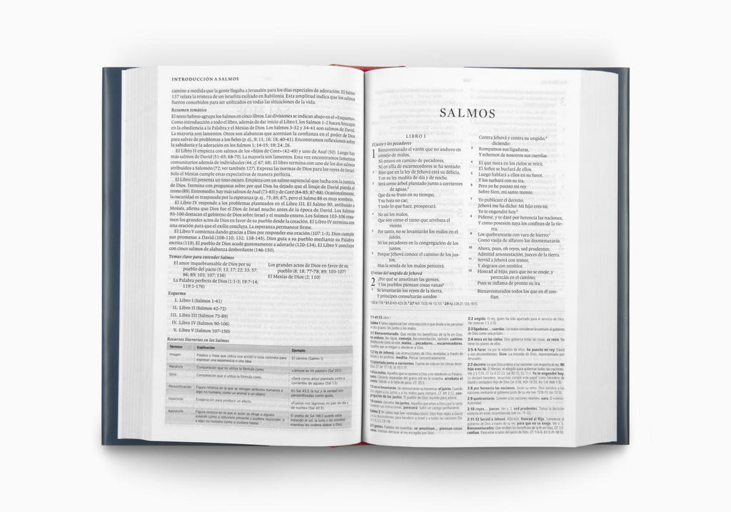 Biblia de Estudio Concisa RVR
(Tapa Dura)